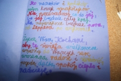 SONY DSC