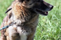 IMG_3075