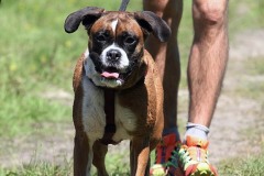 IMG_3205