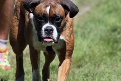 IMG_3206
