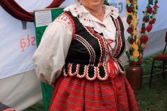 Obraz-049