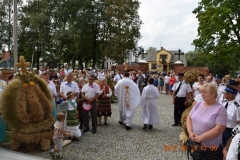 zdjecie152