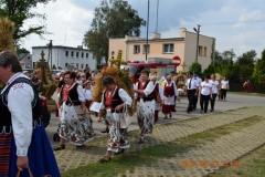zdjecie221