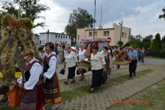 zdjecie241