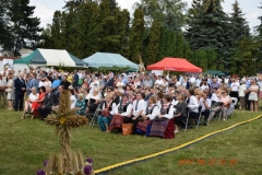 zdjecie259