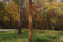 73252287_3115155995225705_4237952726132064256_n