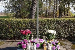 73375617_3115155698559068_79557908311834624_n