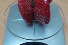 20210618_110430-kopia
