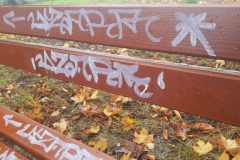 20201011_094454