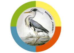 0692a4e584defe6544ca2abbf7dd2502 XL