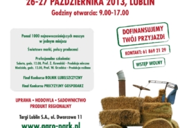 ce11944b98d0742eead2b016a253afd2 XL