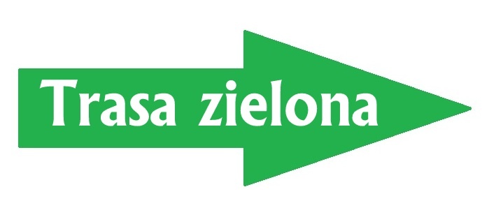zielona logo