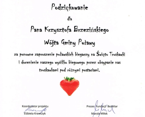 3cfd4ff673c93395fd580159a9616109 XL