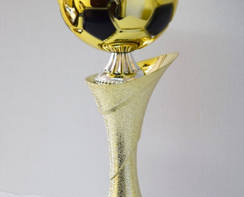 f3dd59a2cb6c4d08f016cde5495f86d5 XL