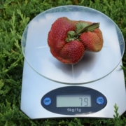 f8c966a1ee564673d1a5c77640d47c8b M