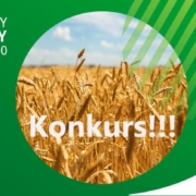 Konkurs dla szkół