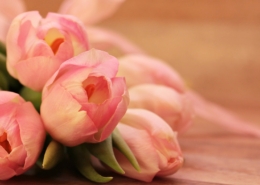 tulips 2068692 1920