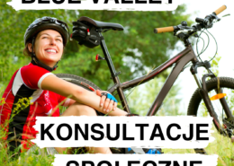 BV konsultacje spoleczne ZDJECIE