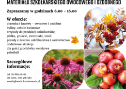 PLAKAT KIERMASZ JESIENNY 002