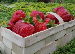 100647609 3793876690686962 4060175985276878848 n