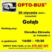 gołąb @