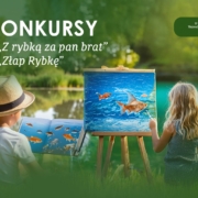 strona rybki 1 1536x1024