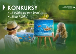 strona rybki 1 1536x1024