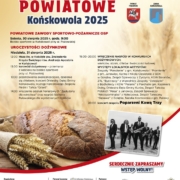 dozynki 2025 plakat 480x680 mm druk