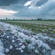 Zniszczenia po gradzie