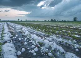 Zniszczenia po gradzie