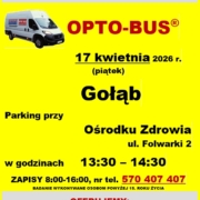 gołąb 24 100 @