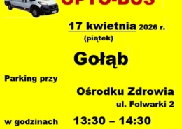 gołąb 24 100 @