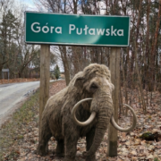 Mamut Góra Puławska www