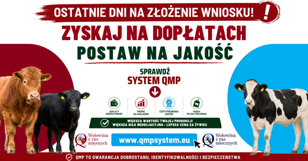 QMP baner close kampania 2026