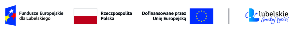 FEL logotyp kolor poziom(1)(1) FEL logotyp kolor poziom(1)(1)