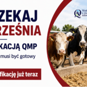 Baner QMP certyfikacja