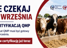 Baner QMP certyfikacja