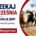 Baner QMP certyfikacja