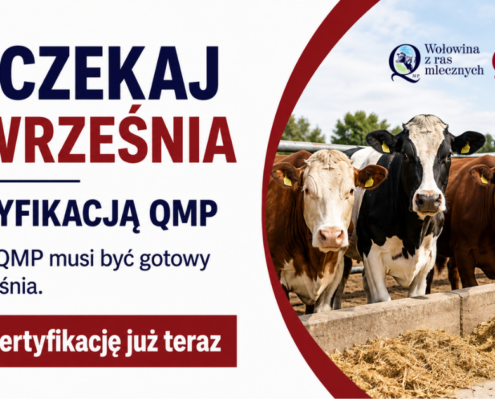 Baner QMP certyfikacja